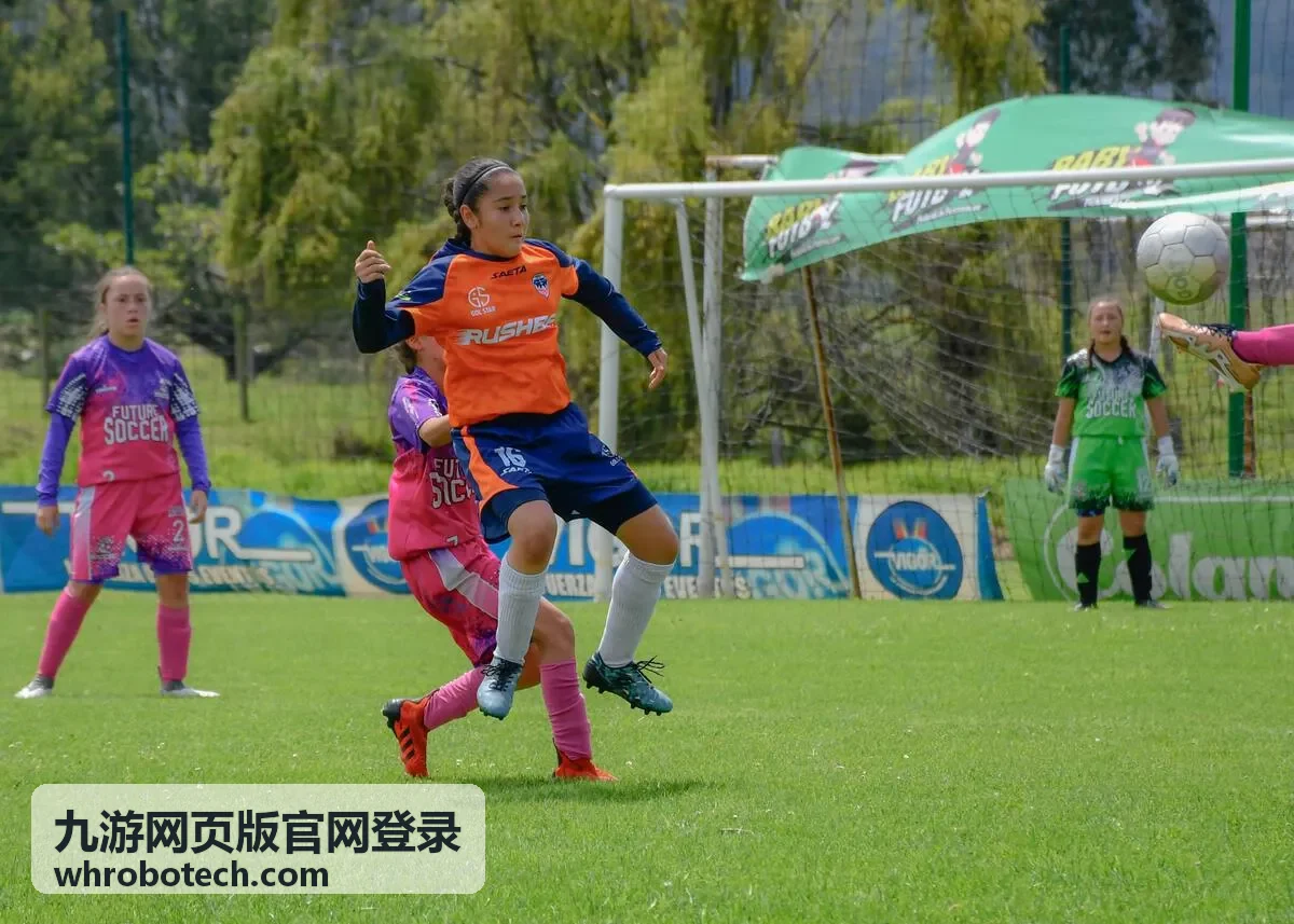 网页版登录常见问题排查示意