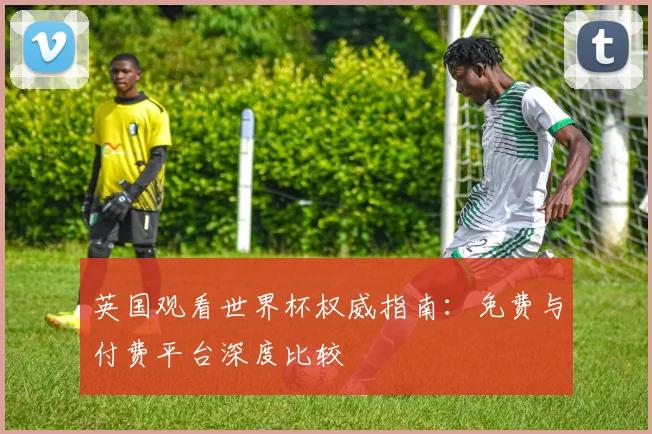 英国观看世界杯权威指南：免费与付费平台深度比较