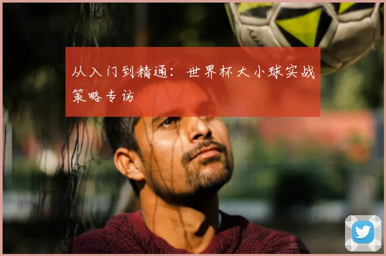 从入门到精通:世界杯大小球实战策略专访