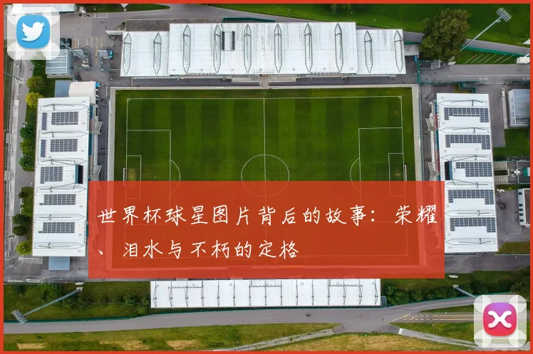 世界杯球星图片背后的故事:荣耀、泪水与不朽的定格