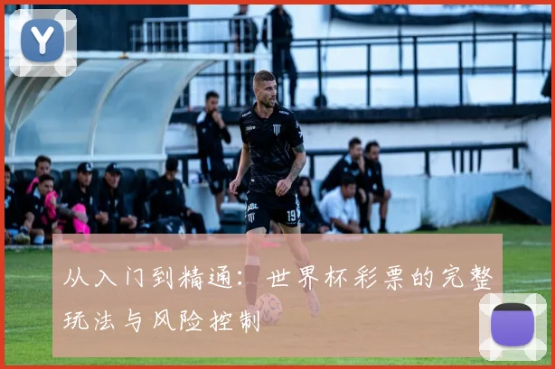 从入门到精通:世界杯彩票的完整玩法与风险控制