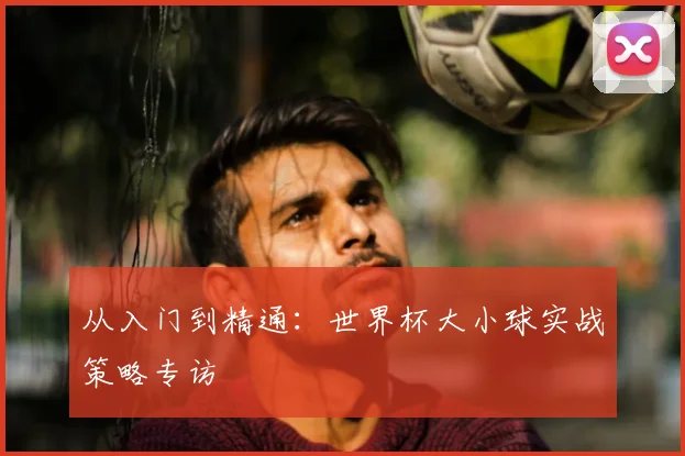 从入门到精通:世界杯大小球实战策略专访
