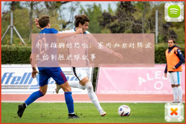 非洲雄狮的怒吼：塞内加尔对阵波兰的制胜进球故事