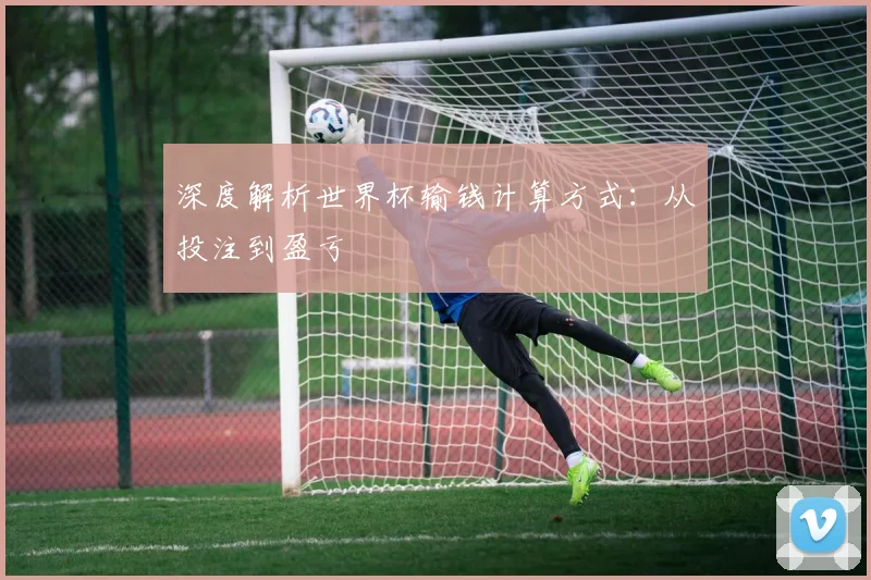 深度解析世界杯输钱计算方式：从投注到盈亏