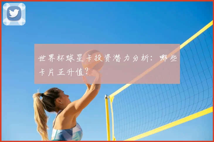 世界杯球星卡投资潜力分析：哪些卡片正升值？