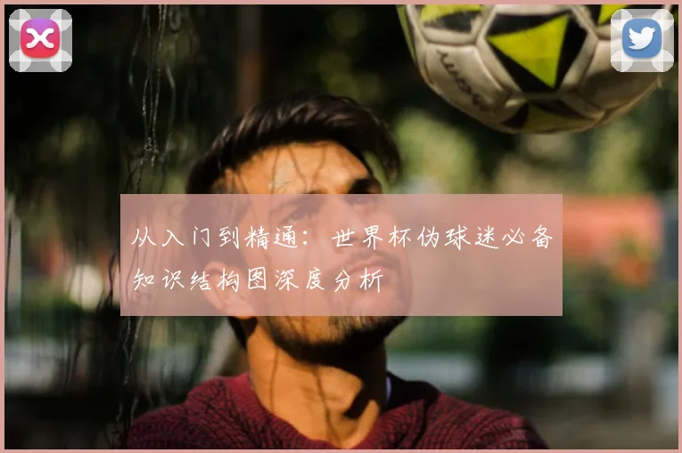 从入门到精通:世界杯伪球迷必备知识结构图深度分析
